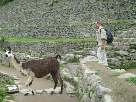 Cultural tour to Machu Picchu photo 3